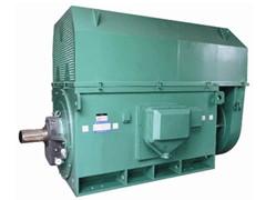 龙门Y系列6KV高压电机
